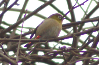 c0047589_1516652.jpg