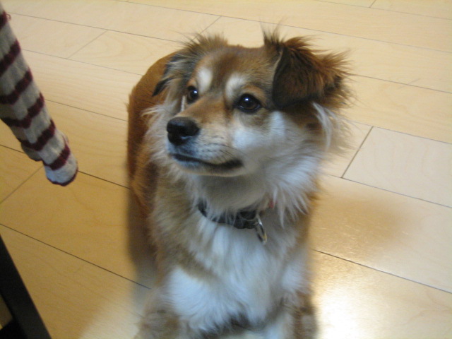 b0054391_14292989.jpg
