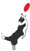 b0101991_2203018.gif