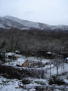 3月の雪_f0106597_17554863.jpg