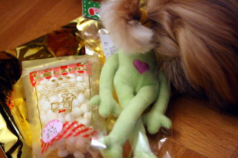 c0090198_47322.jpg