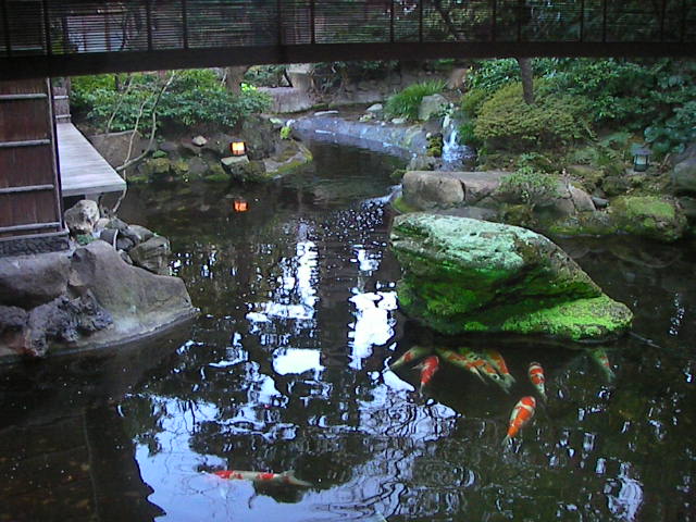 f0038407_7154029.jpg