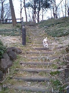 ダメ飼い主は部屋の中だけでお願いします_a0040708_18502999.jpg