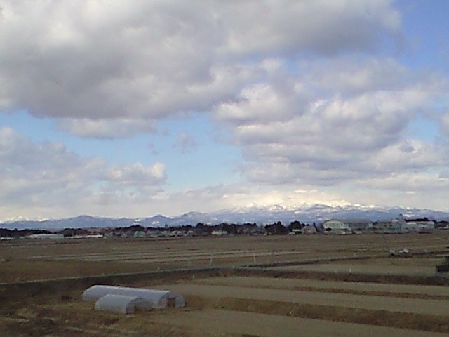 d0099708_1194131.jpg