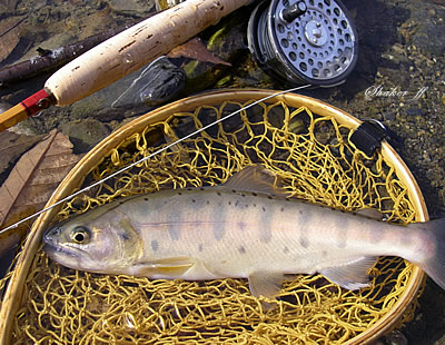 f0021008_148829.jpg