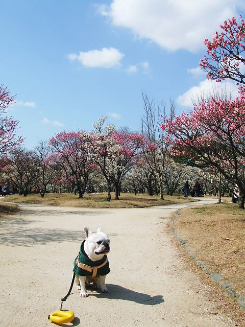 f0090117_1724049.jpg