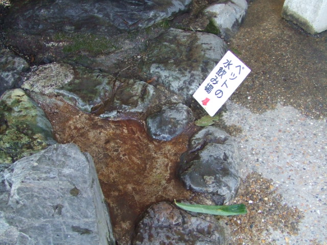 f0090117_1803572.jpg