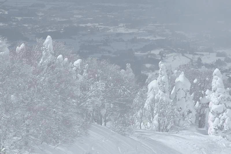 山形県上山市　蔵王温泉スキー場_d0106628_4265861.jpg