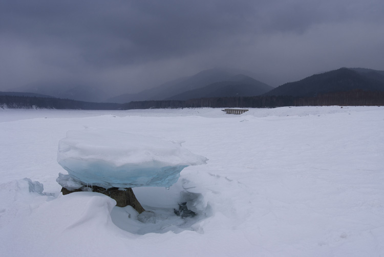 糠平湖～氷のキノコ　Ⅱ_f0116528_2054995.jpg