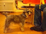c0153740_4493937.jpg