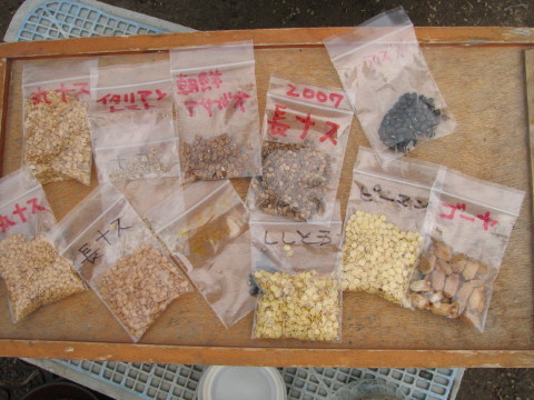 c0127548_20332882.jpg