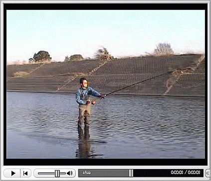 f0084561_17131177.gif