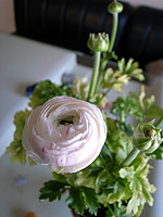 f0024090_16124243.jpg