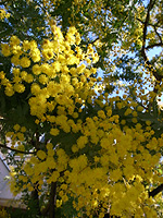 f0024090_16291614.jpg