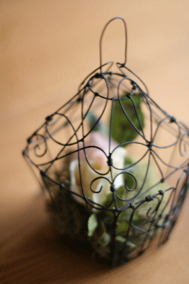 d0100192_21455294.gif