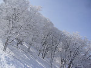 e0070606_2173125.jpg