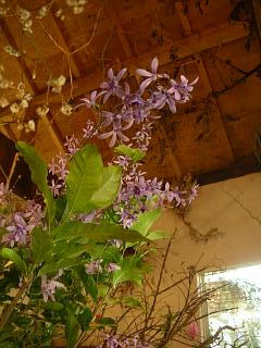 c0102228_19281874.jpg