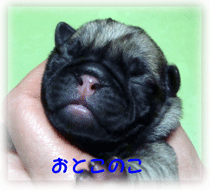 b0078030_2254689.gif