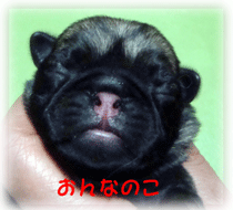 b0078030_22555769.gif