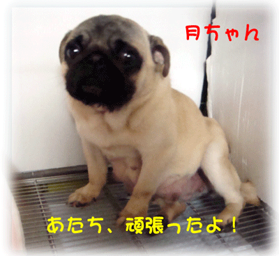 b0078030_22565868.gif
