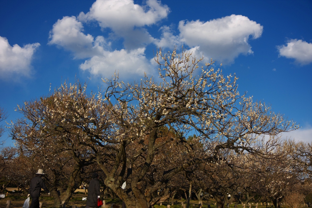 c0008948_17561388.jpg