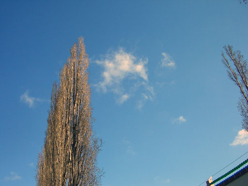 f0077150_18361659.jpg