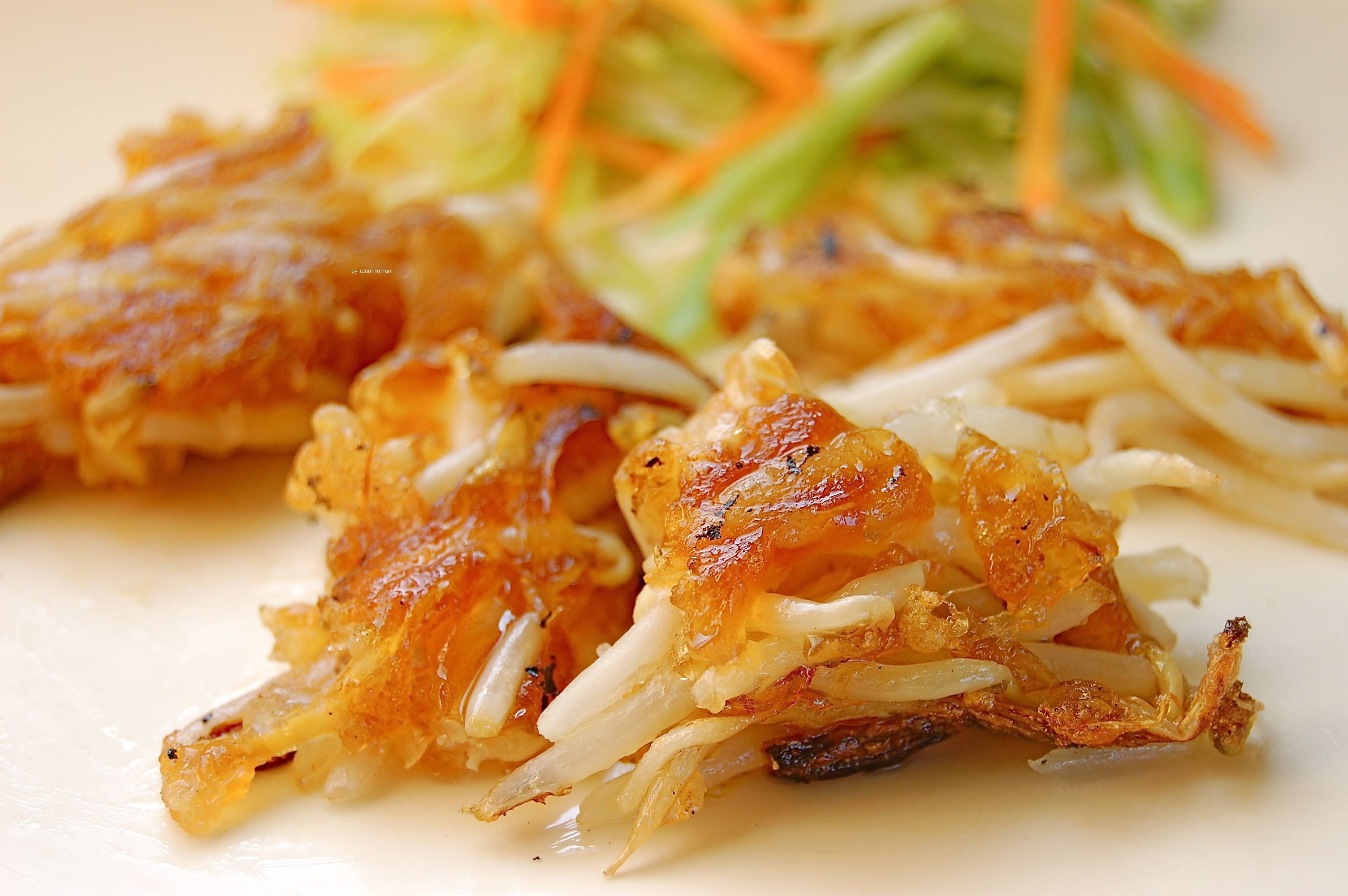 もやしの唐揚げ Vege Dining 野菜のごはん もやしの唐揚げ Vege Dining 野菜のごはん