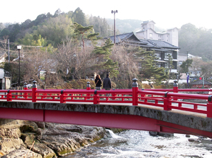  早春の伊豆旅行 その5 （修善寺温泉「柳生の庄」）  _a0075661_9242625.jpg