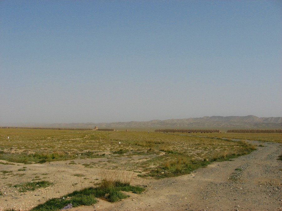f0118777_12142.jpg