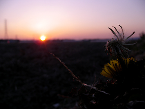 今日の夕陽_a0013879_2254791.jpg