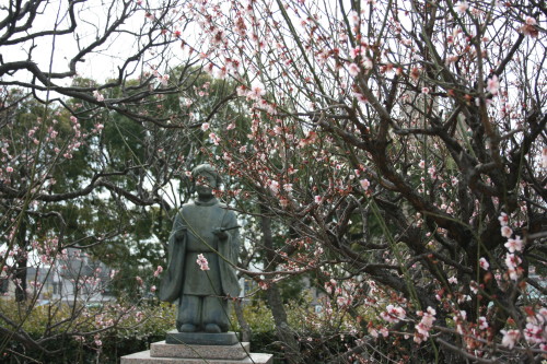 綱敷神社の梅_b0118987_6175348.jpg