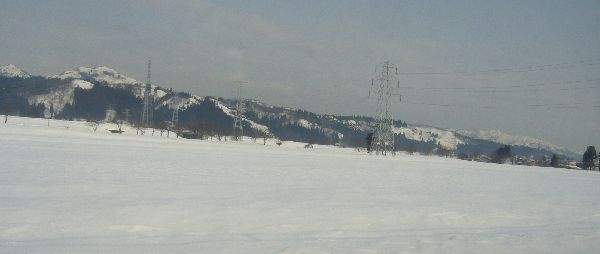 c0051105_071666.jpg