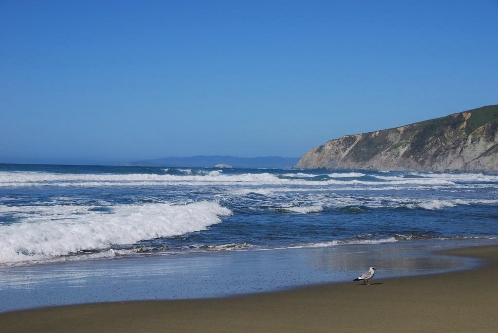 Point Reyes National Seashore - #3  McClures Beach_d0139709_7524042.jpg