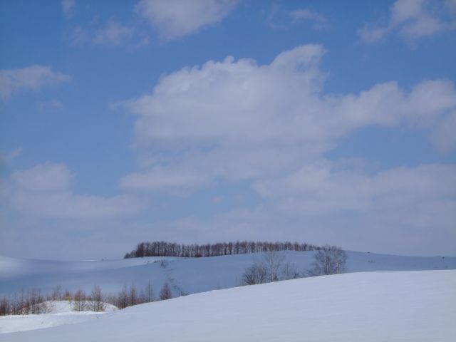 [写真]美瑛、富良野の冬_b0057816_20155229.jpg