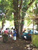 2008年のヤップデイ-ちょっと心配編_a0043520_2214927.jpg