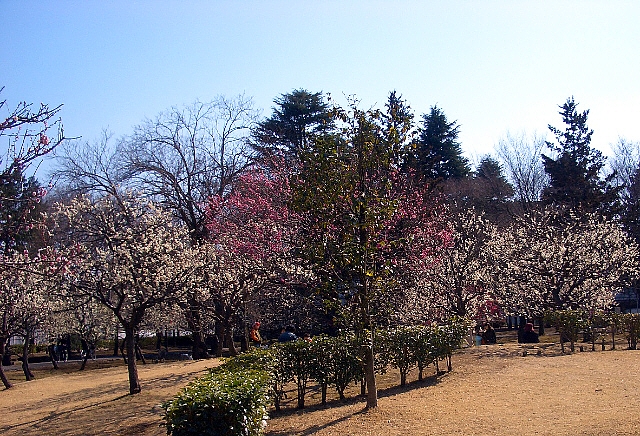 d0083623_2152571.jpg