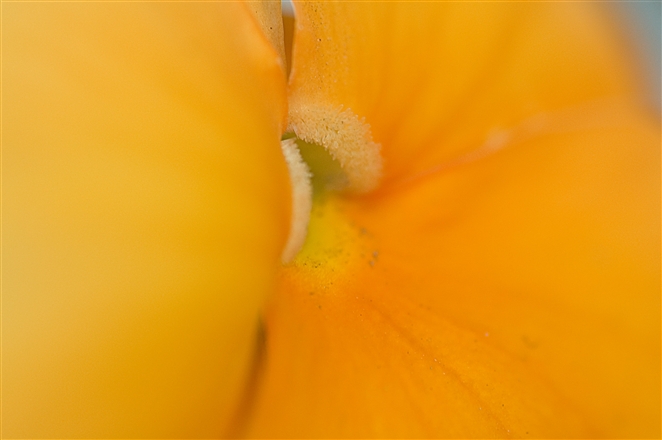 f0040525_1754145.jpg