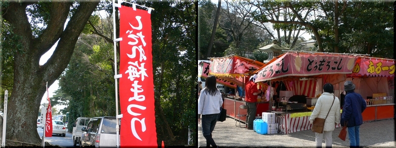 　津・結城神社の梅見に_d0092026_22232272.jpg