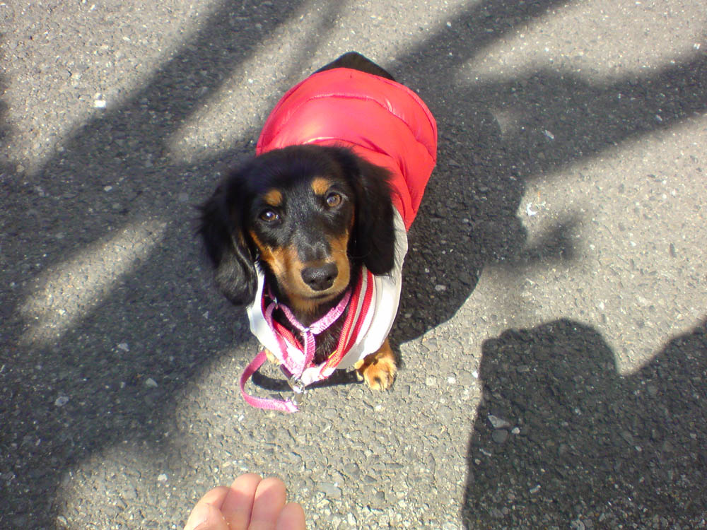 c0117831_20151156.jpg