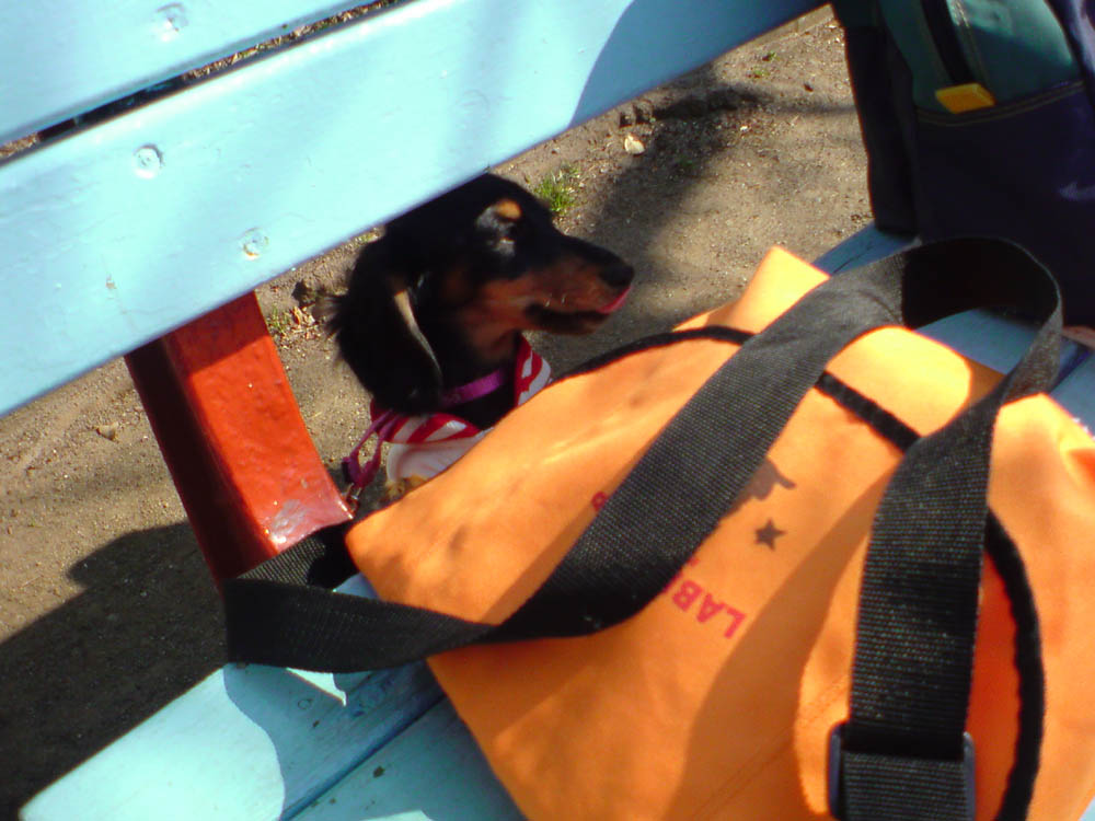 c0117831_2021842.jpg