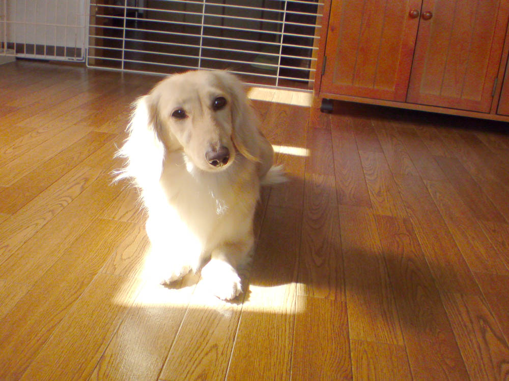 c0117831_20331123.jpg