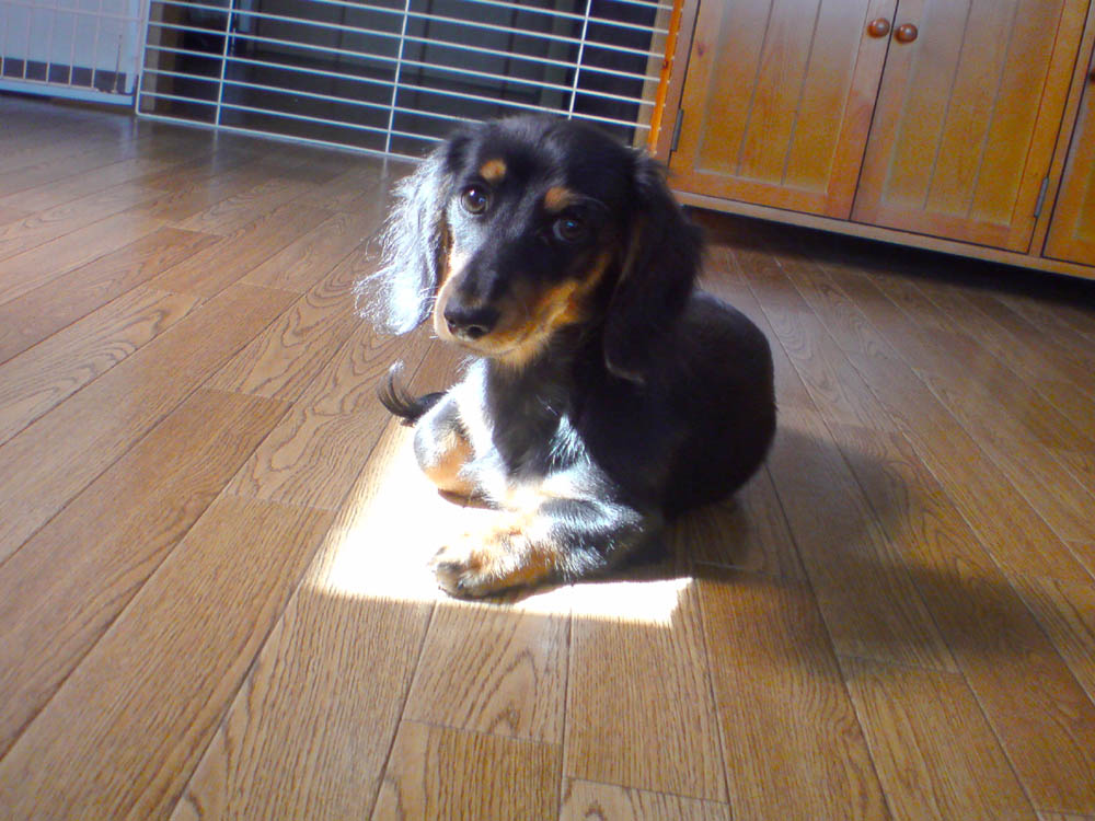 c0117831_20341036.jpg