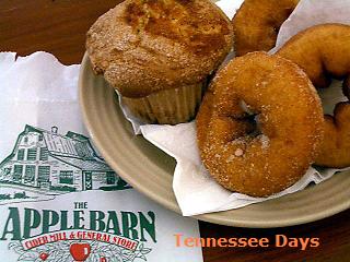 Tennessee Days 2006-2007_c0084837_20314796.jpg