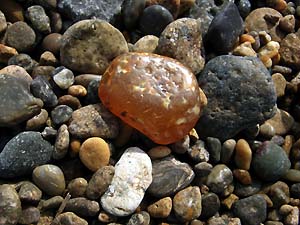 越前で石探し・・・ : Beachcomber's Logbook