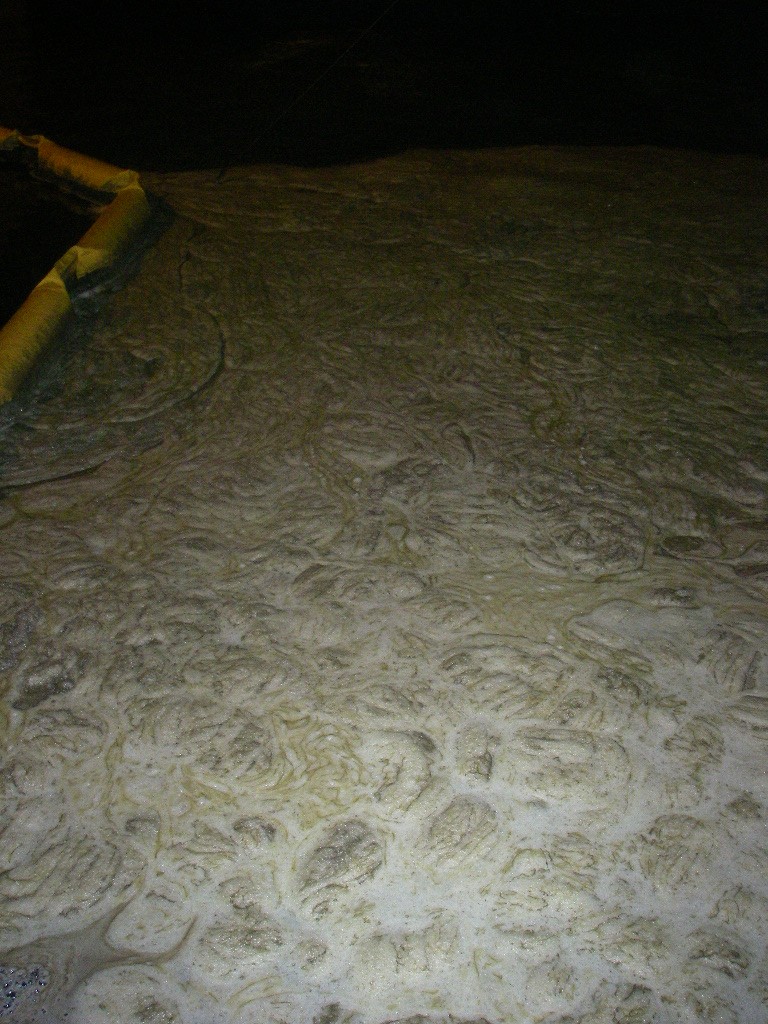 c0153951_1694619.jpg
