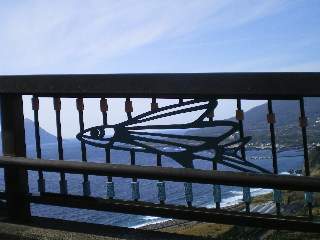 c0118352_1463272.jpg