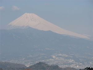 a0044453_2231854.gif