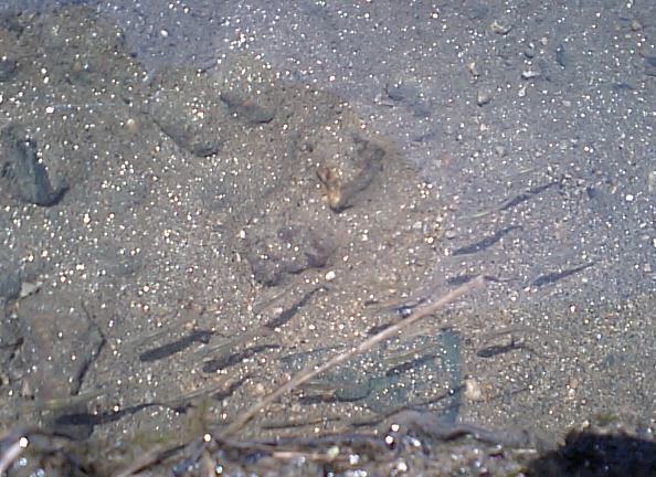 d0125059_22405478.jpg
