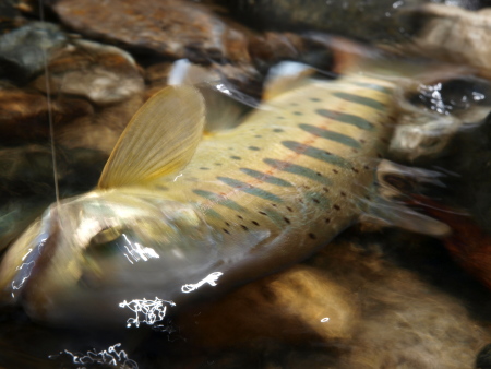 e0136764_15207.jpg