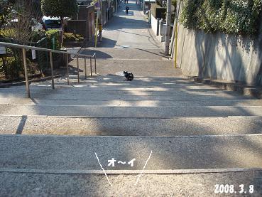 お散歩♪_d0006467_1924662.jpg